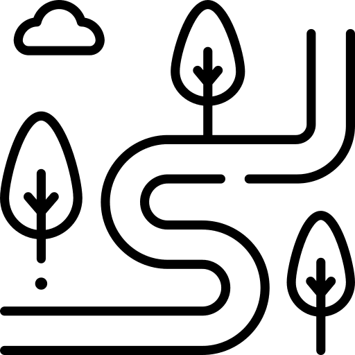 Network icon